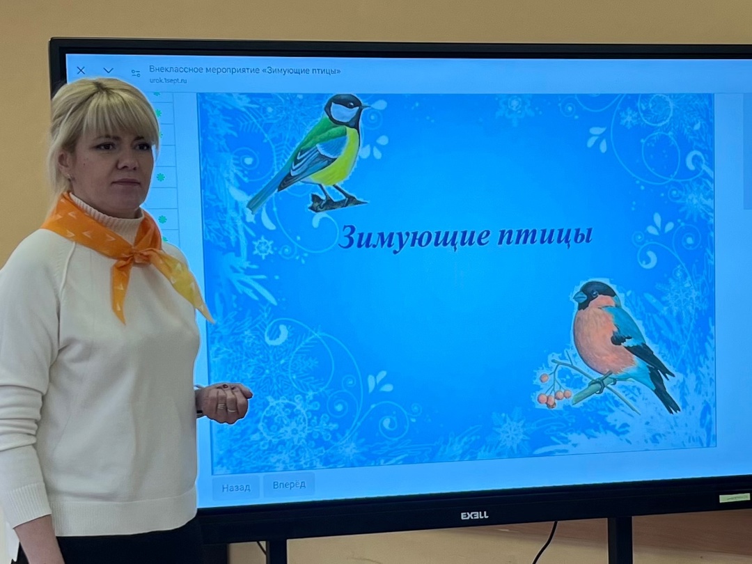 Экологический праздник - День зимующих птиц..